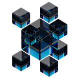 Football World Cup Winners